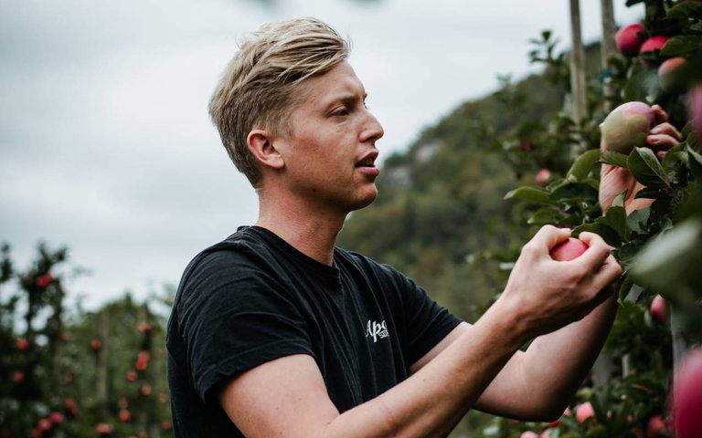 Sider smakig med Apal fra Hjelmeland