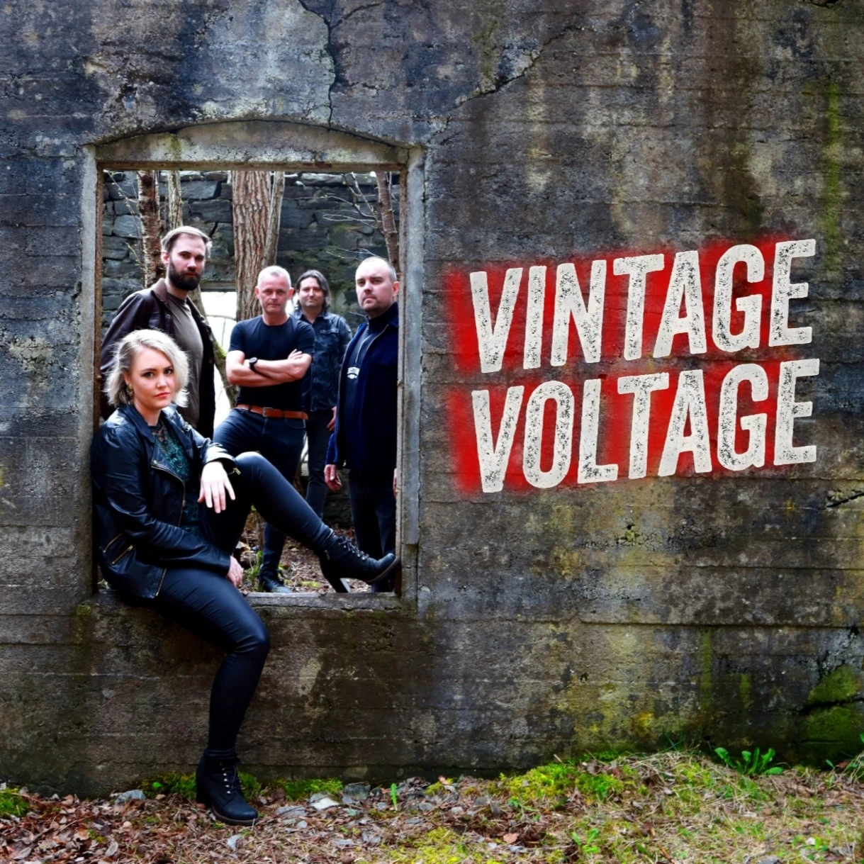 Vintage Voltage