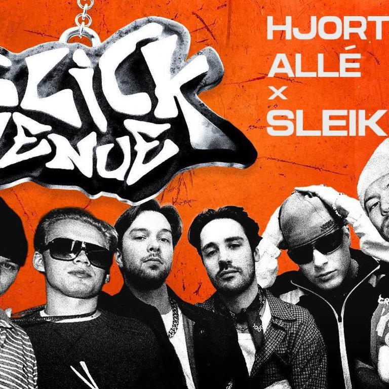 Sleiken x Hjorterud Allé // Terminalen - ÅLESUND