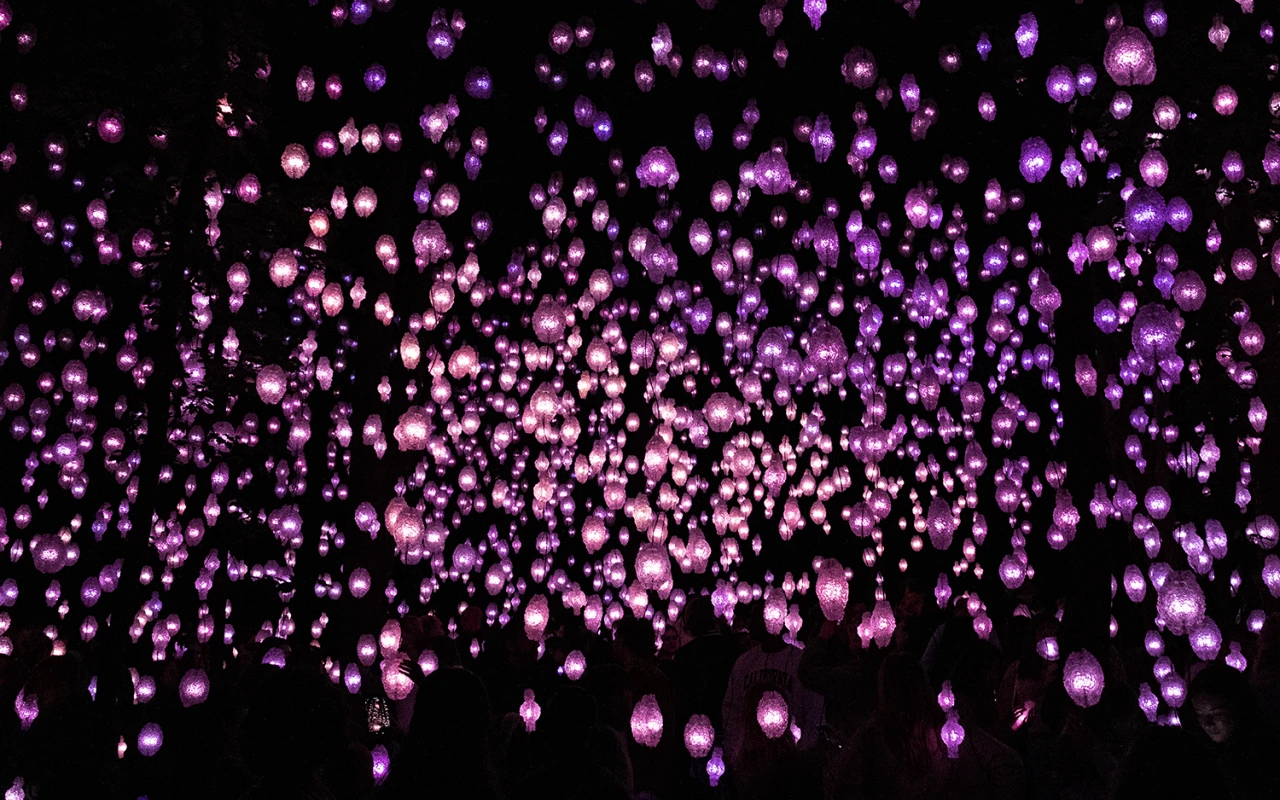 Light Walk