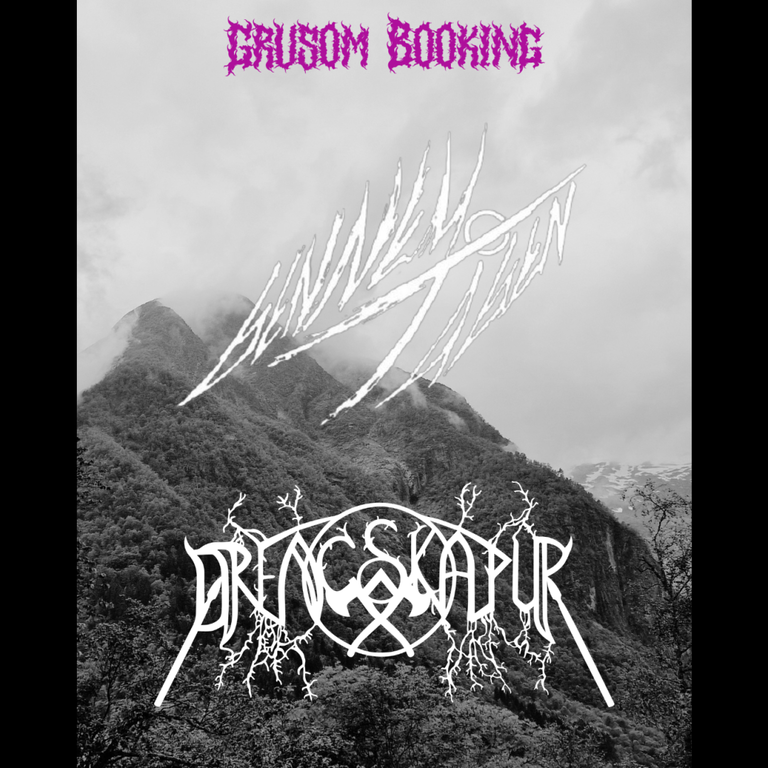 GRUSOM GIG: DRENGSKAPUR (DE) + GENNEM TÅGEN (DK) // BLACK METAL