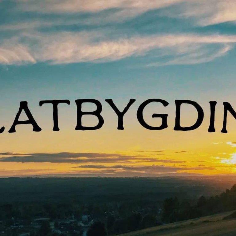 FLATBYGDING // PARTYKONSERT