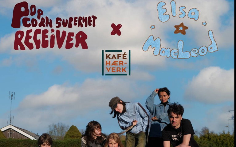 Popcorn Superhet Receiver / Elsa MacLeod