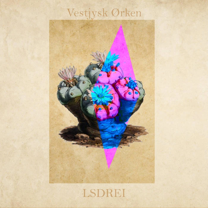 Fuzztival Presents... Vestjysk Ørken - LSDREI Release