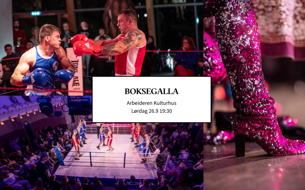 Boksegalla