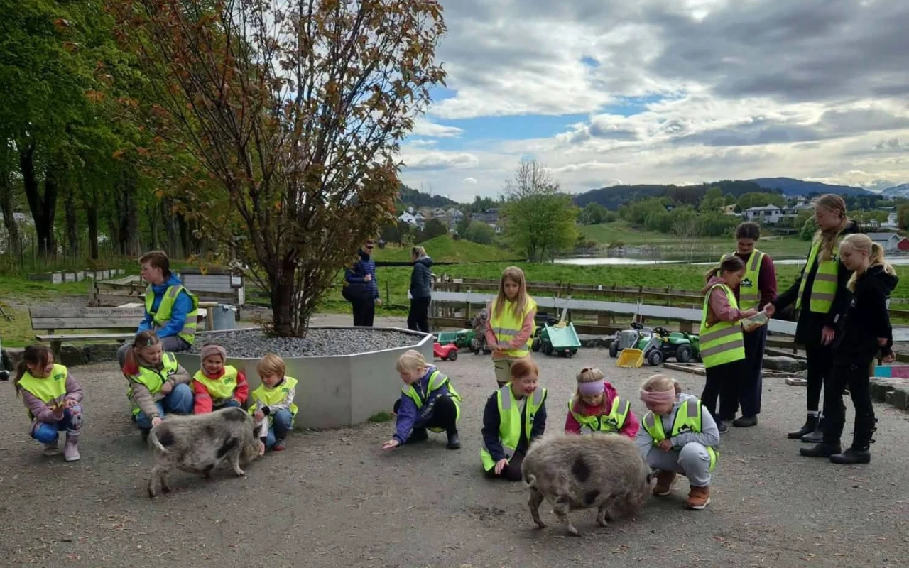 DYREVENNER kveldsgruppe, høst 2026