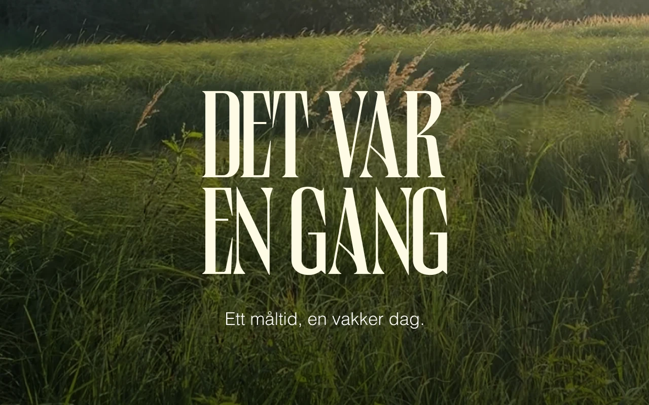 Det var en gang - Sander Gård