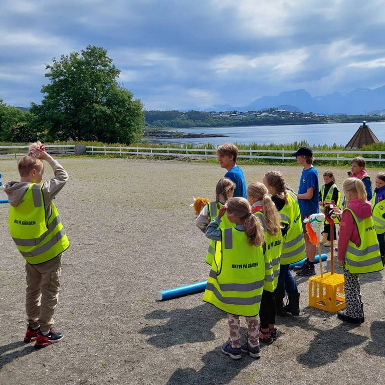 Aktivitetsdag/Ferieaktivitet "Dyr, gårdsliv og aktiviteter" på Borgund Dyreklubb, torsdager