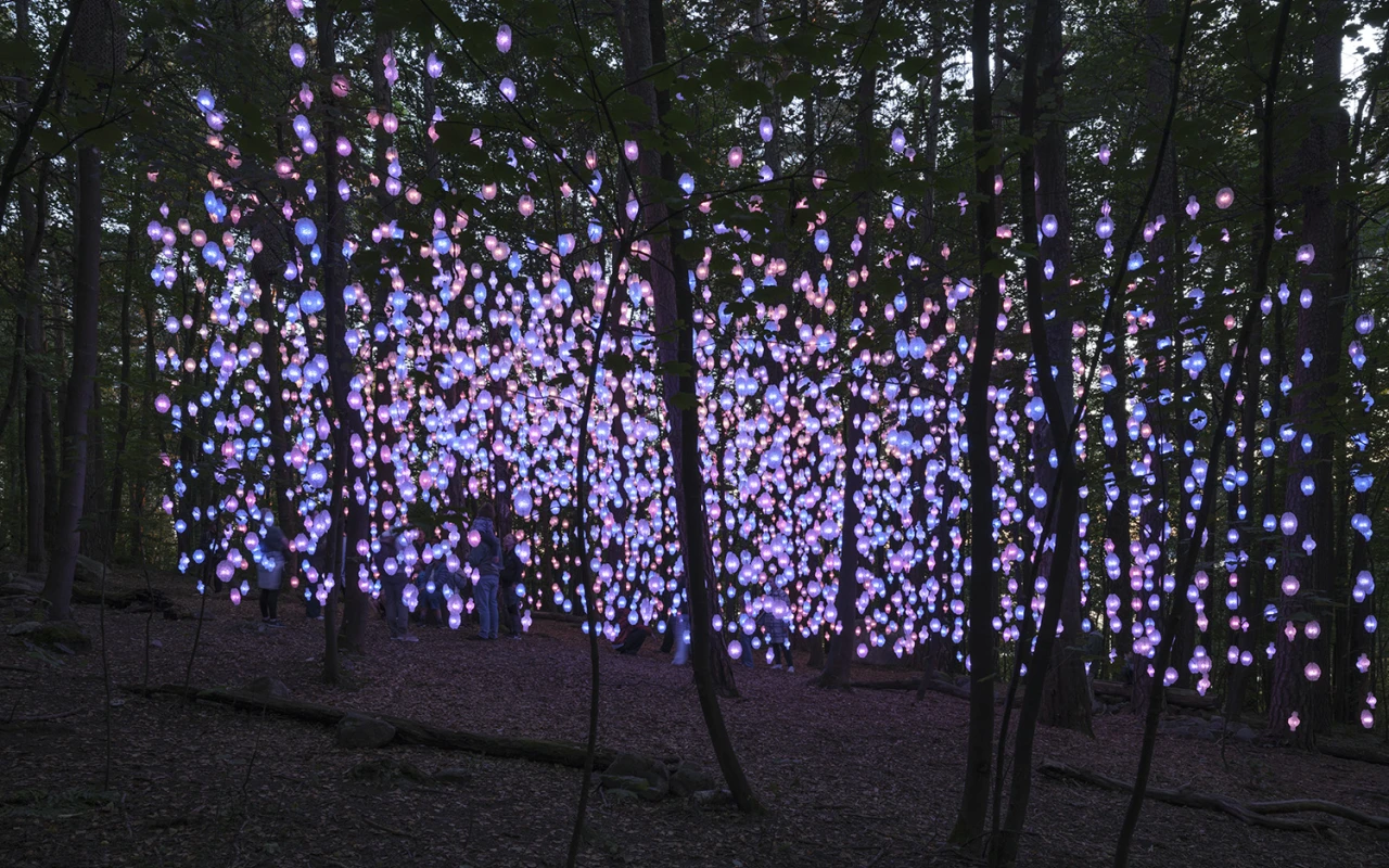 Light walk 
