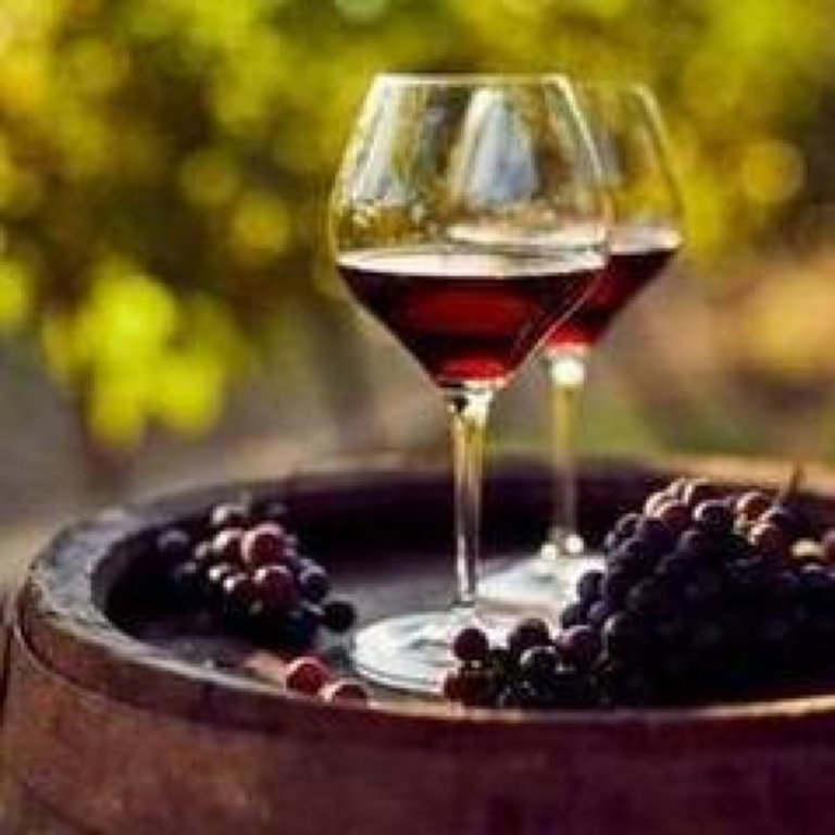 Introduksjon til vinsmaking