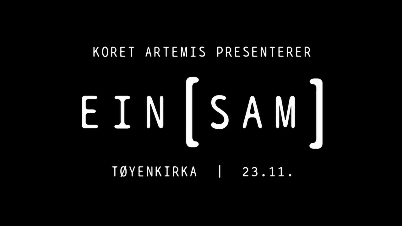 EIN[SAM]: 23. nov, kl. 19:30 [Ekstrakonsert]
