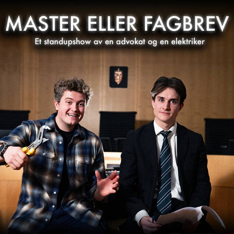 Master eller fagbrev