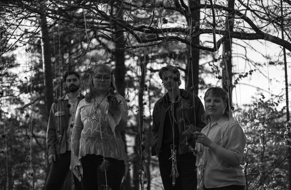 Sungoose // Live